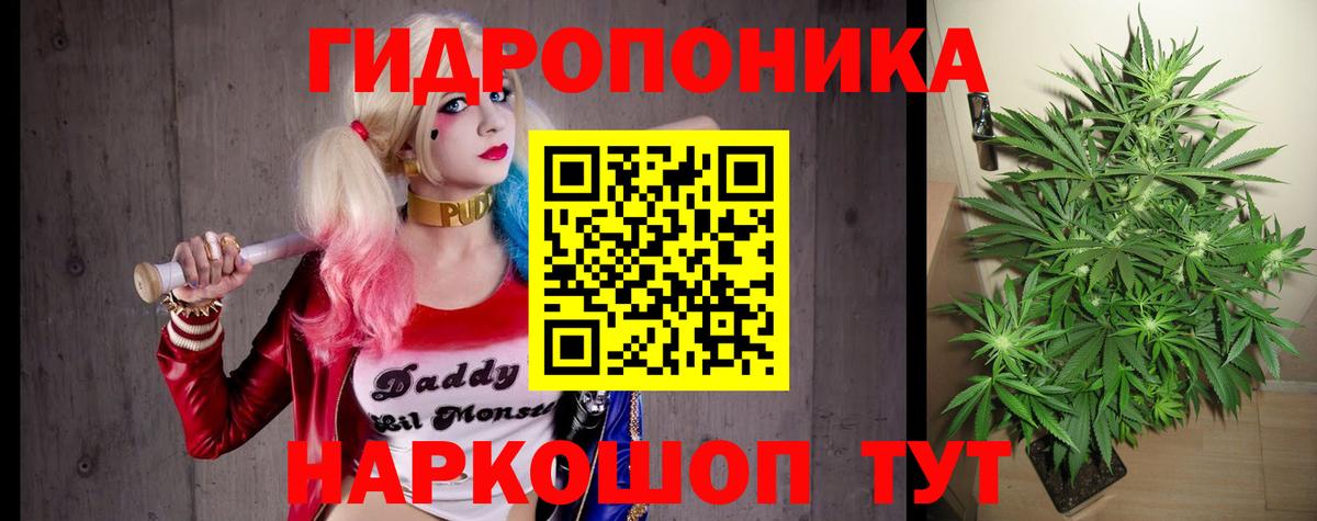 Шишки марихуана VHQ Тверь